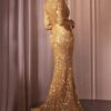 Elegantné šaty na ples - CH054