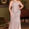 Elegantné šaty na ples - CH077C