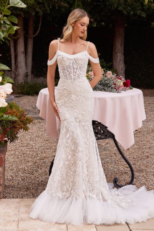 Elegantné šaty na ples - CK703W