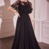 Elegantné spoločenské šaty - CDS503